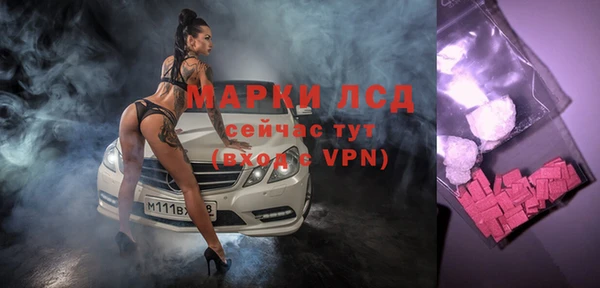 прущие грибы Апатиты