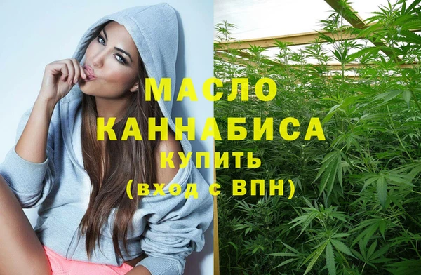 сатива Новозыбков