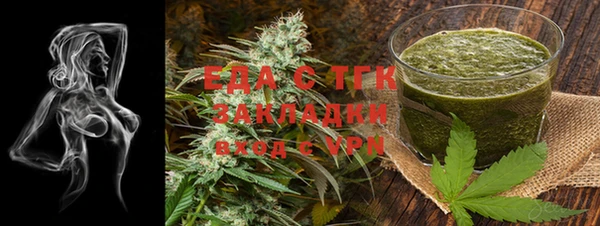 сатива Новозыбков
