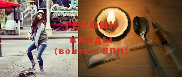 сатива Новозыбков