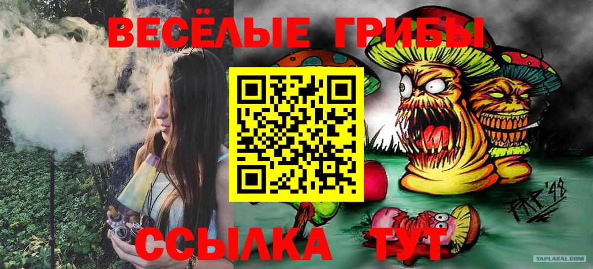 Псилоцибиновые грибы мицелий Рассказово